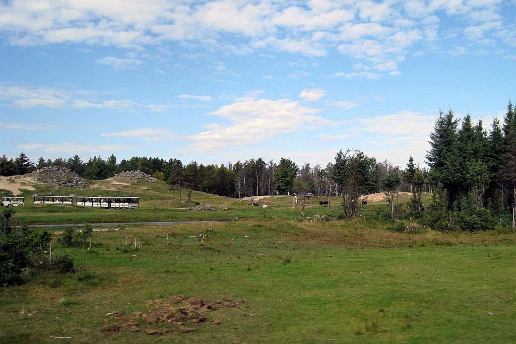 Can0825.jpg