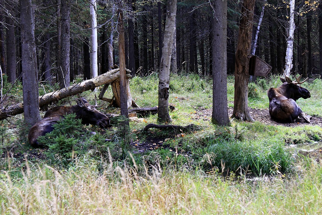 Can0828.jpg