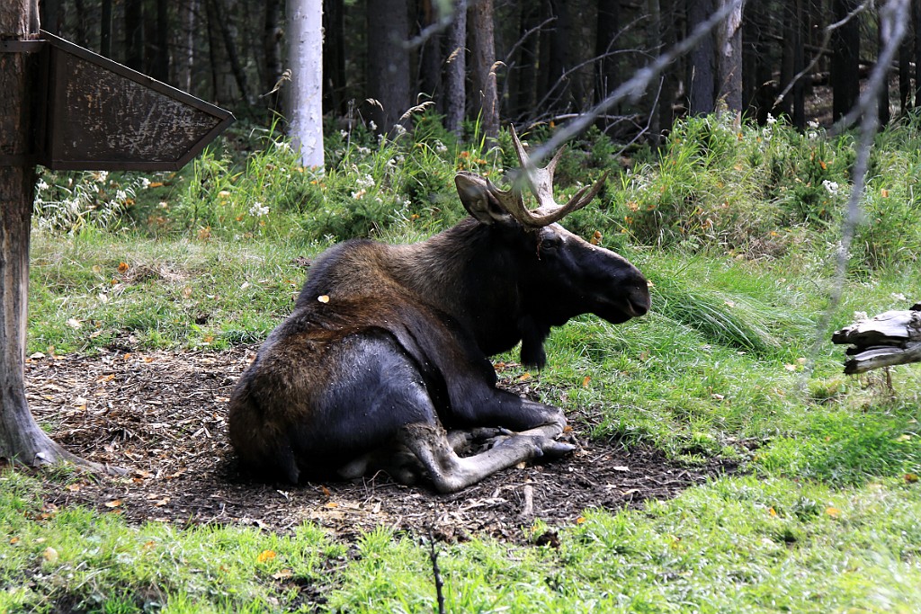 Can0830.jpg