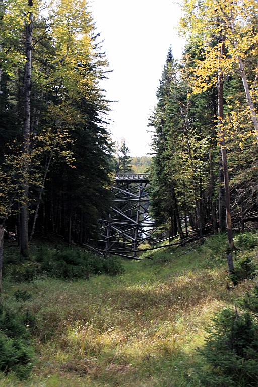 Can0831.jpg