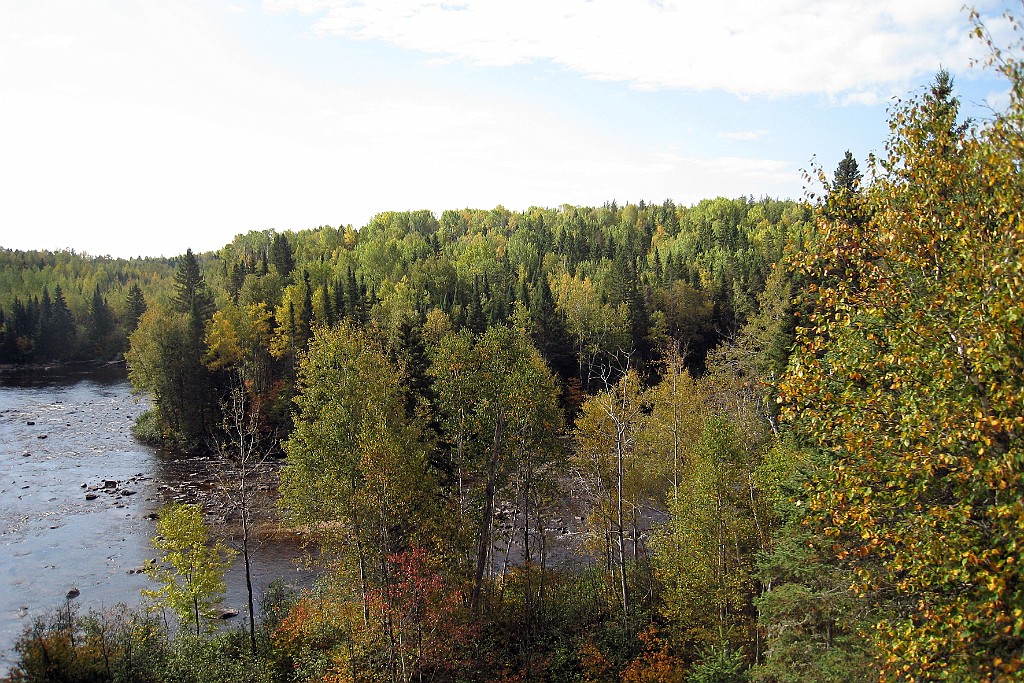 Can0832.jpg