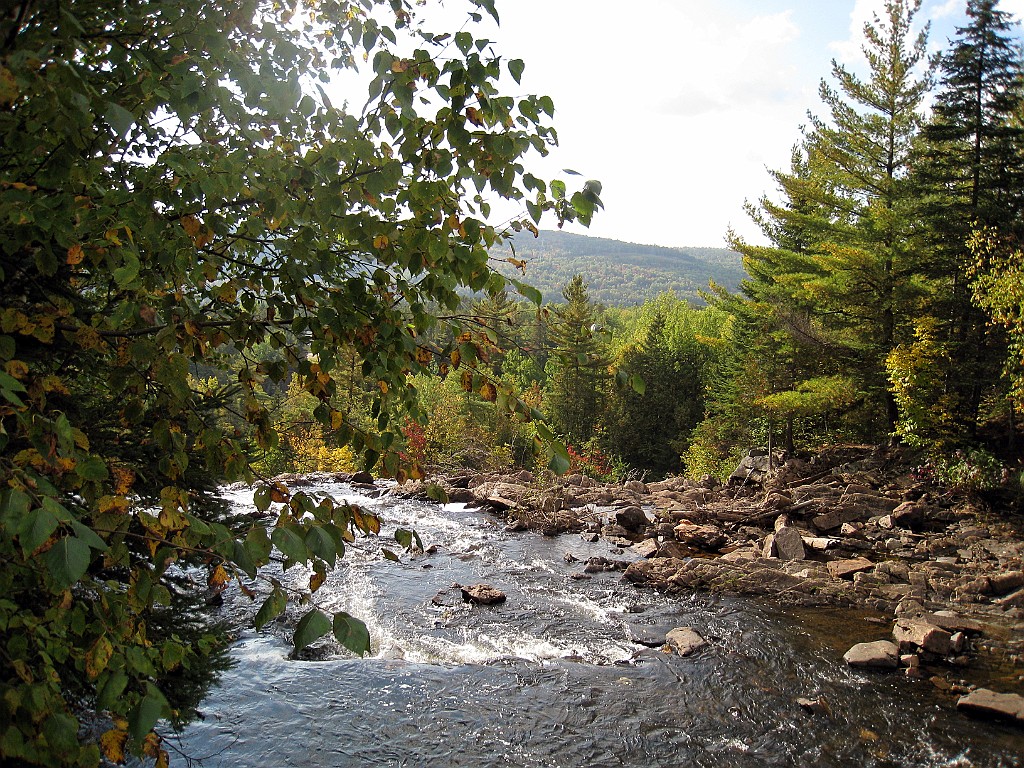 Can0870.jpg