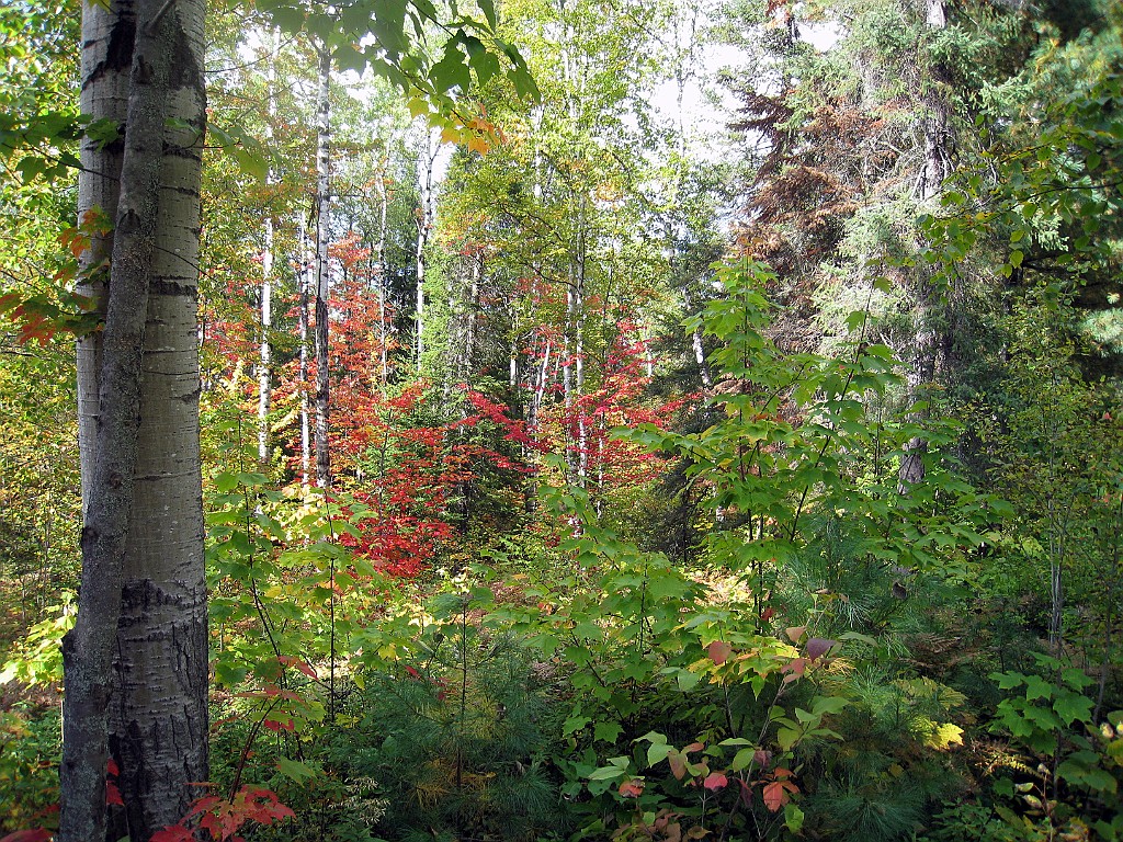 Can0884.jpg