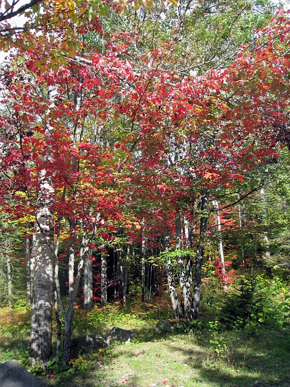Can0886.jpg