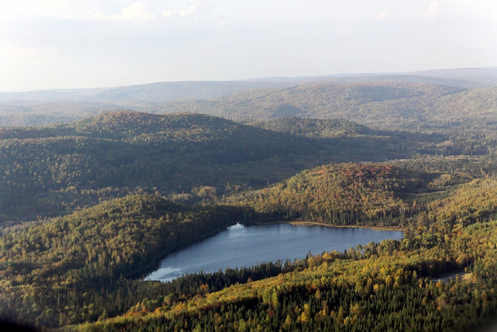 Can0900.jpg
