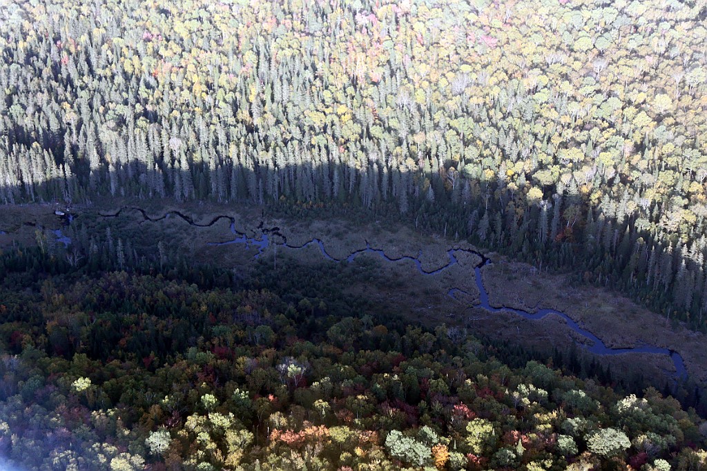 Can0913.jpg