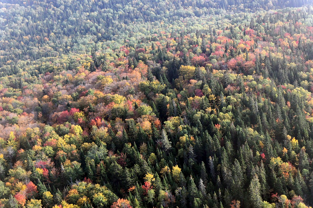 Can0928.jpg