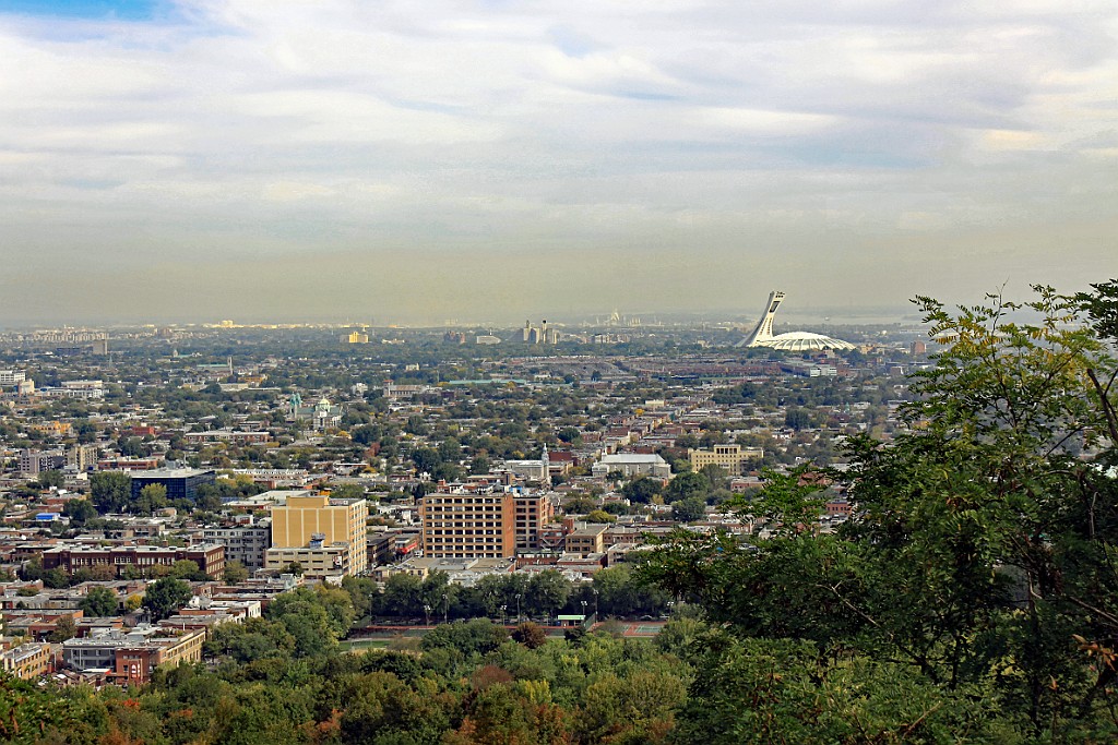 Can0958.jpg