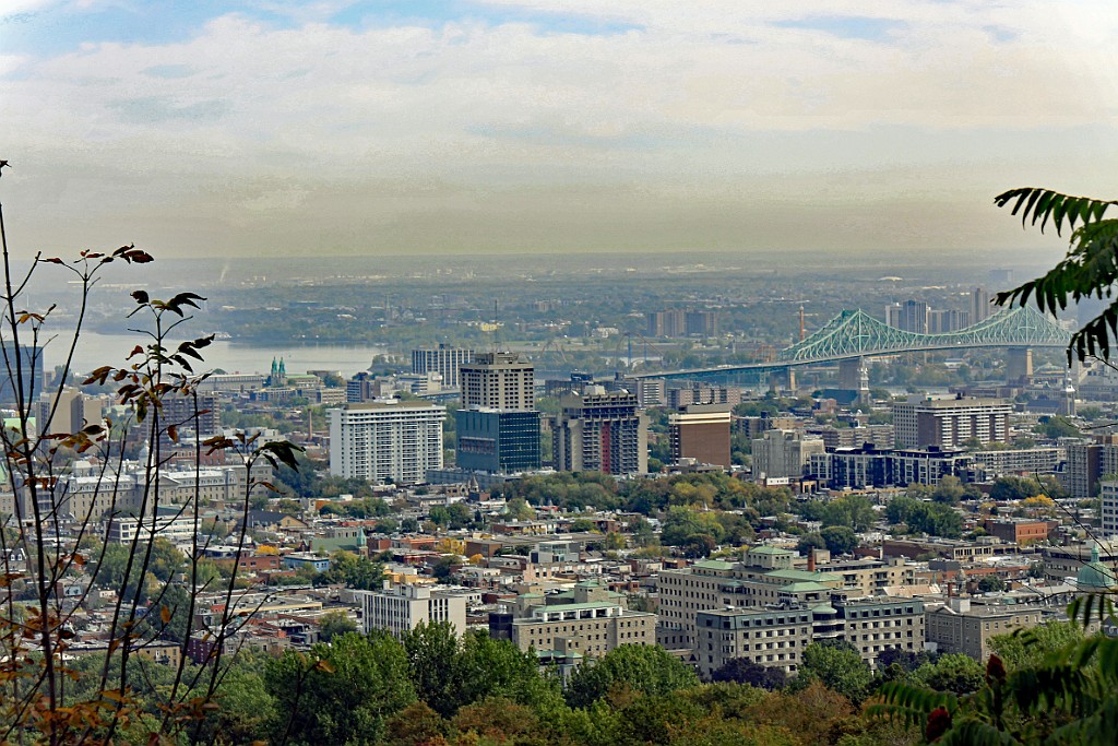 Can0959.jpg