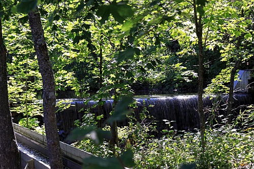 Can0476