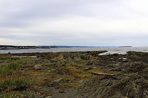 Can0509