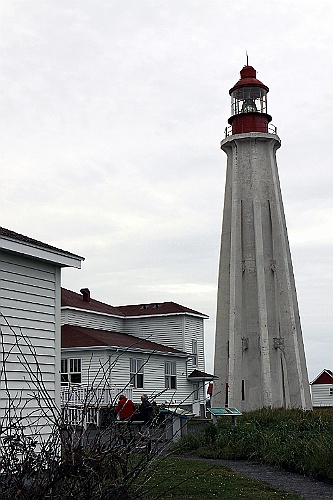 Can0524