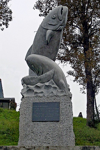 Can0531