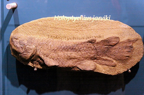 Can0543