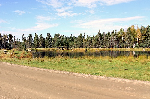Can0846