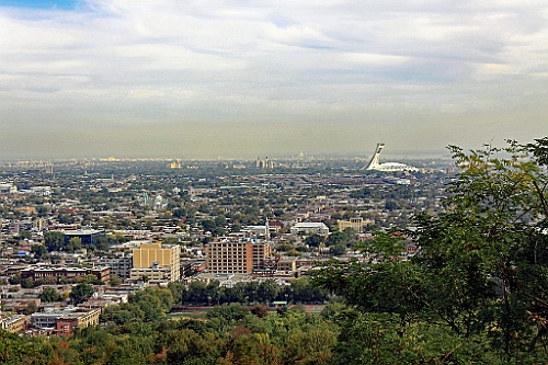 Can0958
