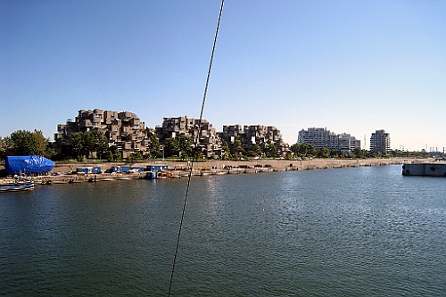 Can0981