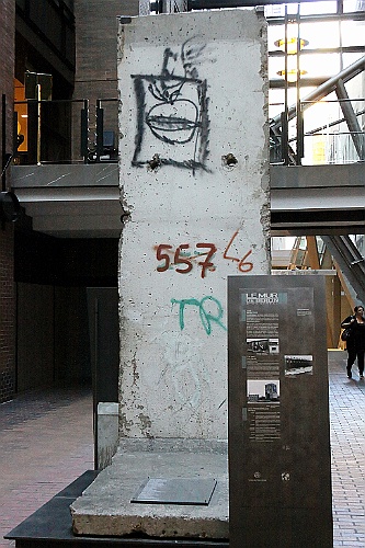 Can1019