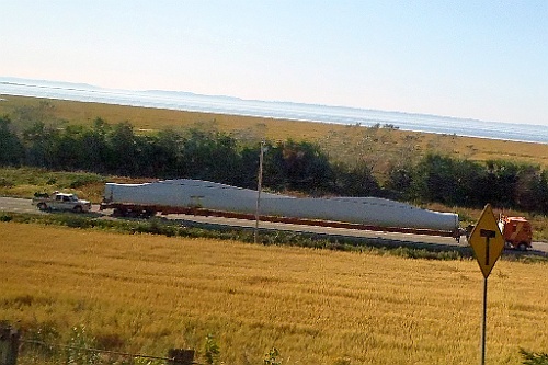 Can1035