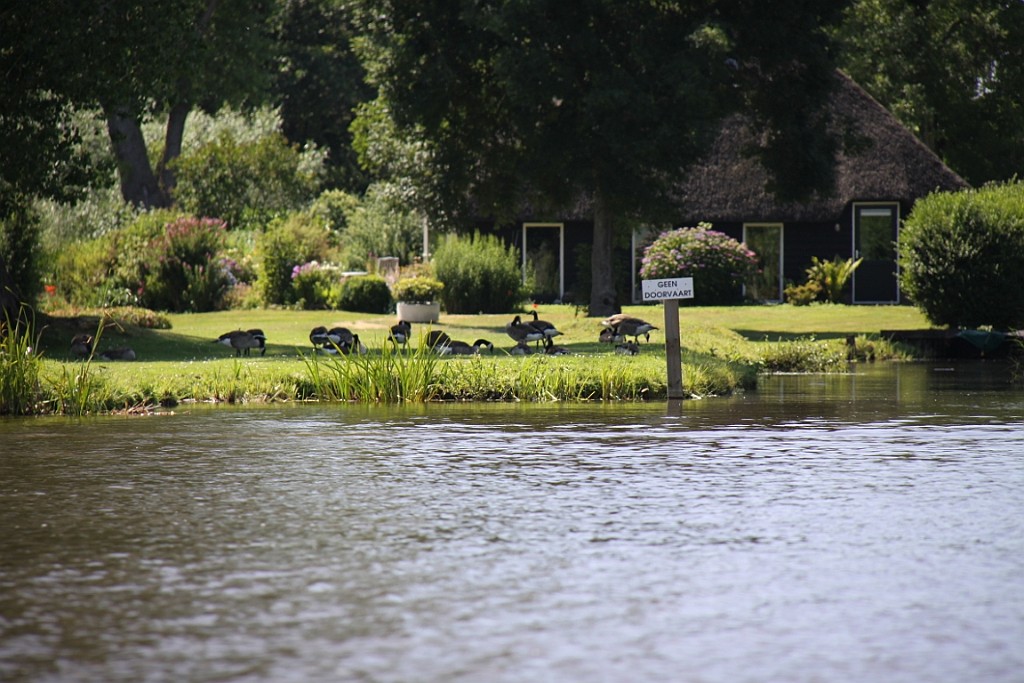 Giethoorn060.JPG