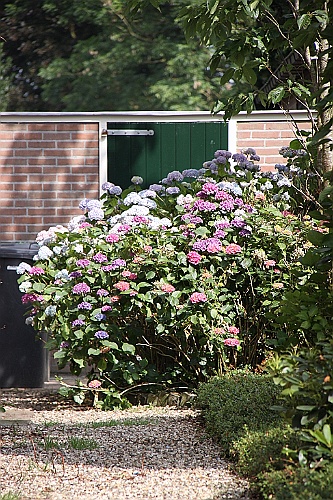 Giethoorn028