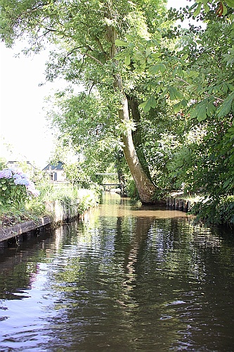 Giethoorn049