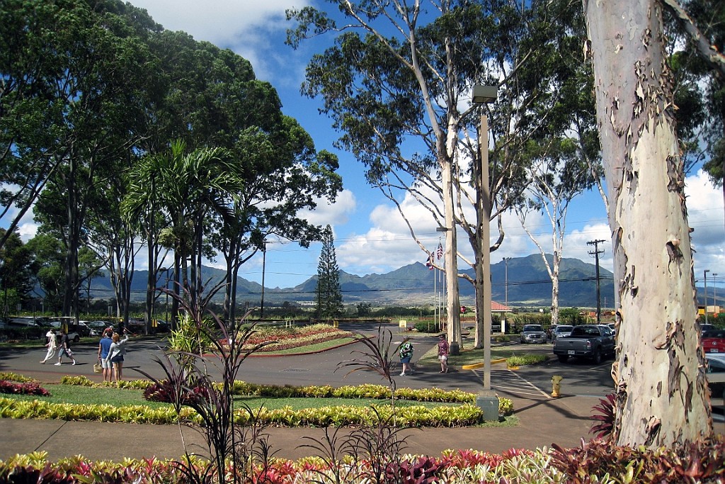 Hawaii0028.jpg