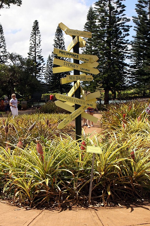 Hawaii0030.jpg