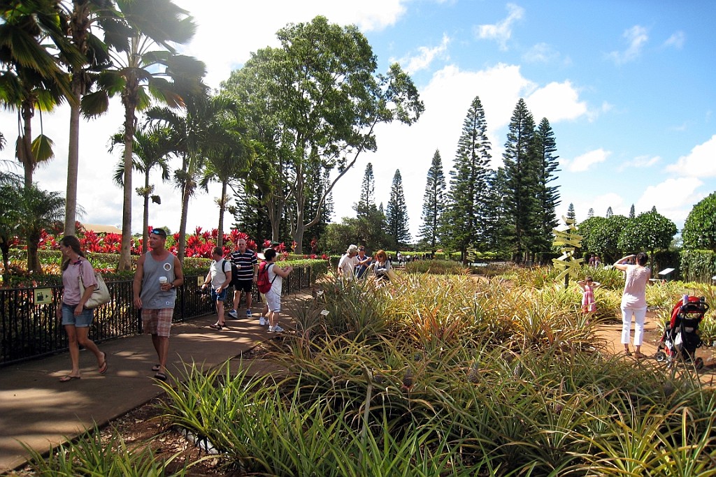 Hawaii0033.jpg