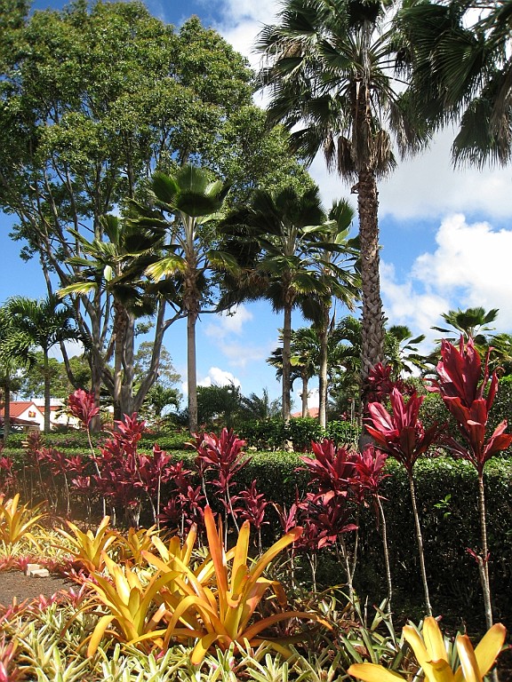 Hawaii0036.jpg