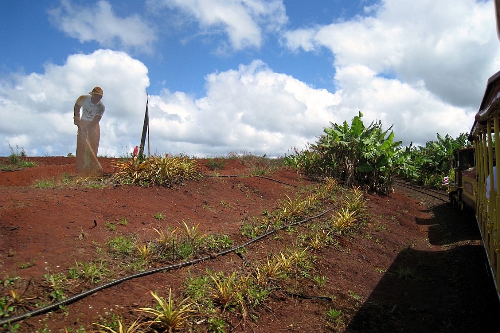 Hawaii0043.jpg
