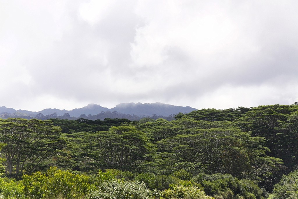 Hawaii0044.jpg