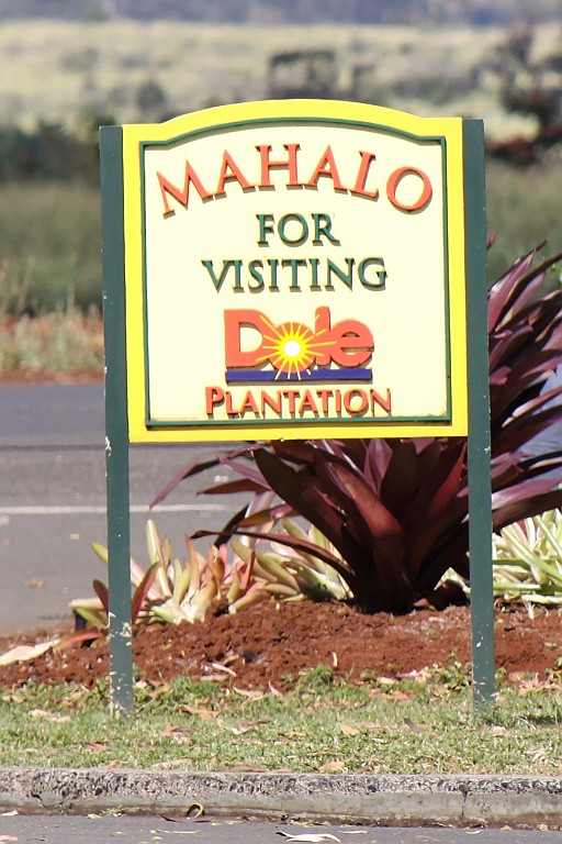 Hawaii0057.jpg
