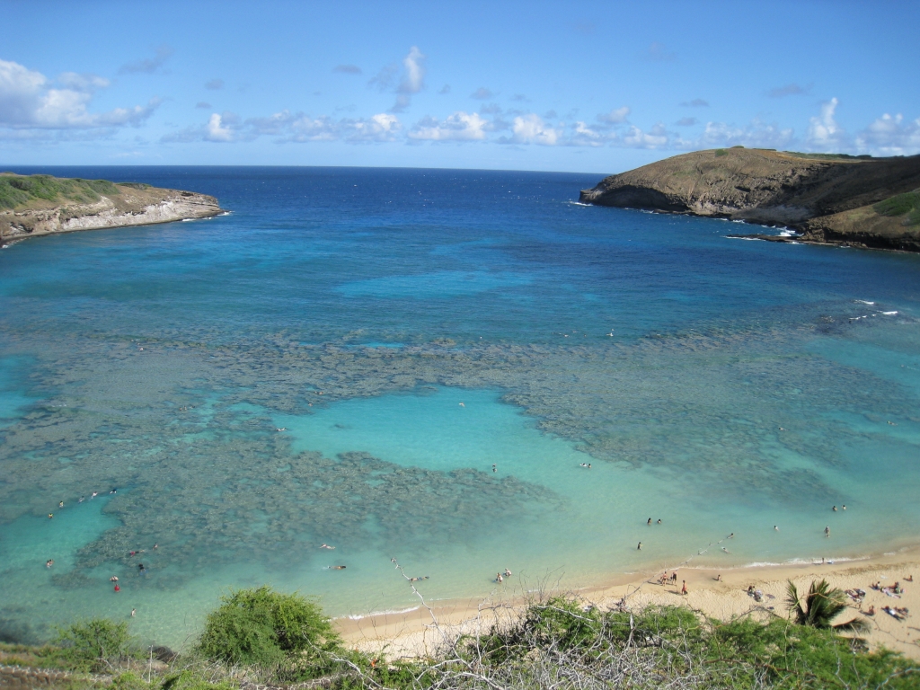 Hawaii0107.jpg