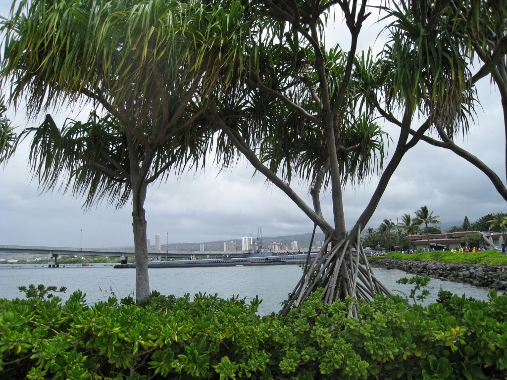 Hawaii0149.jpg
