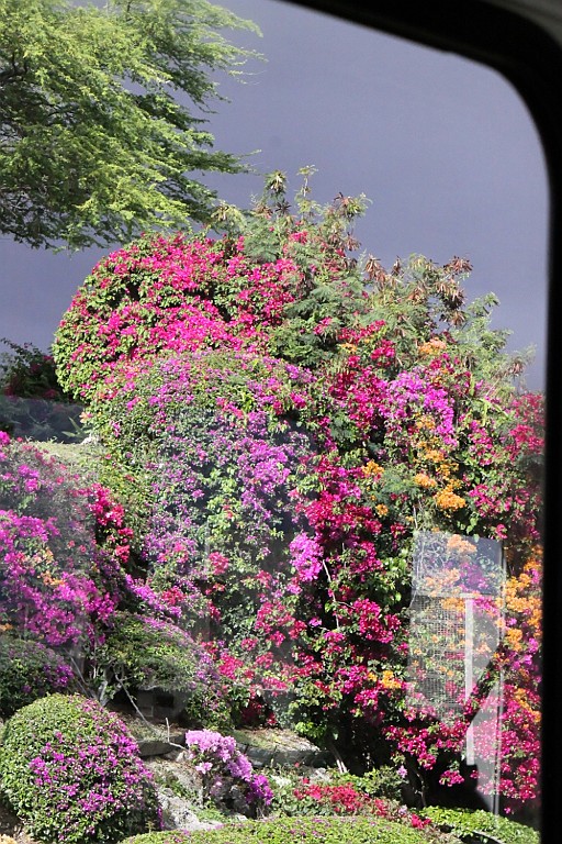 Hawaii0230.jpg