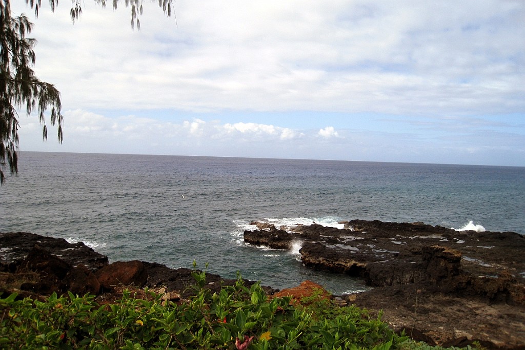 Hawaii0260.jpg