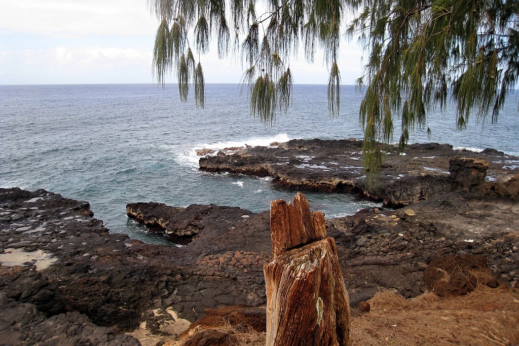 Hawaii0261.jpg