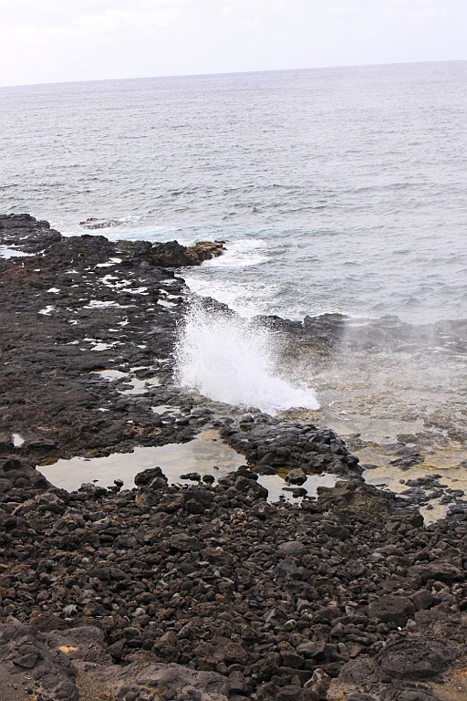 Hawaii0263.jpg