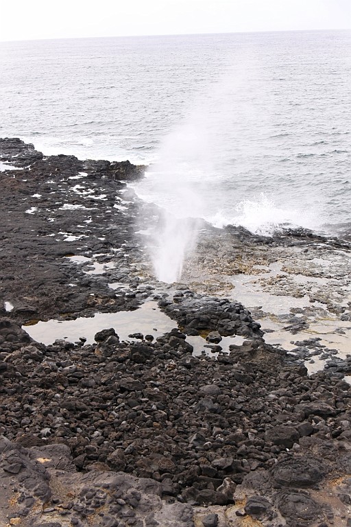 Hawaii0264.jpg