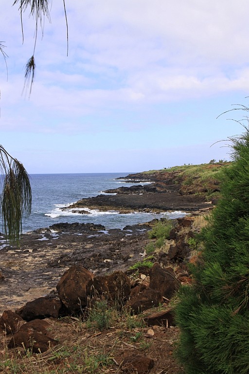 Hawaii0265.jpg