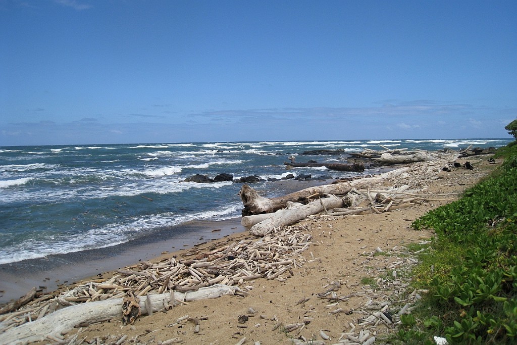Hawaii0288.jpg