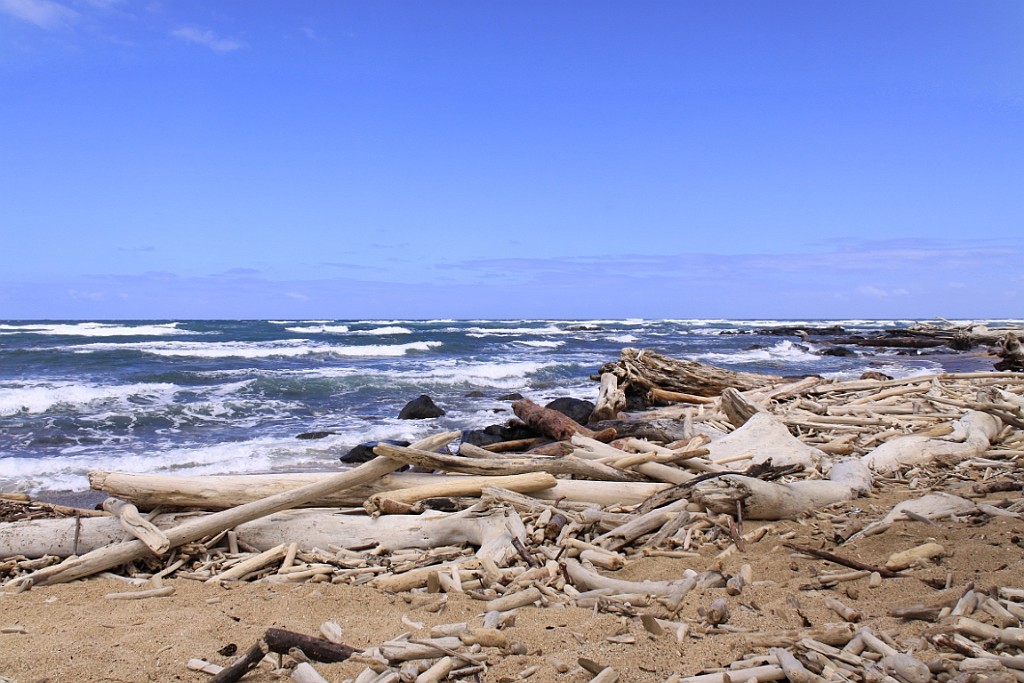 Hawaii0290.jpg