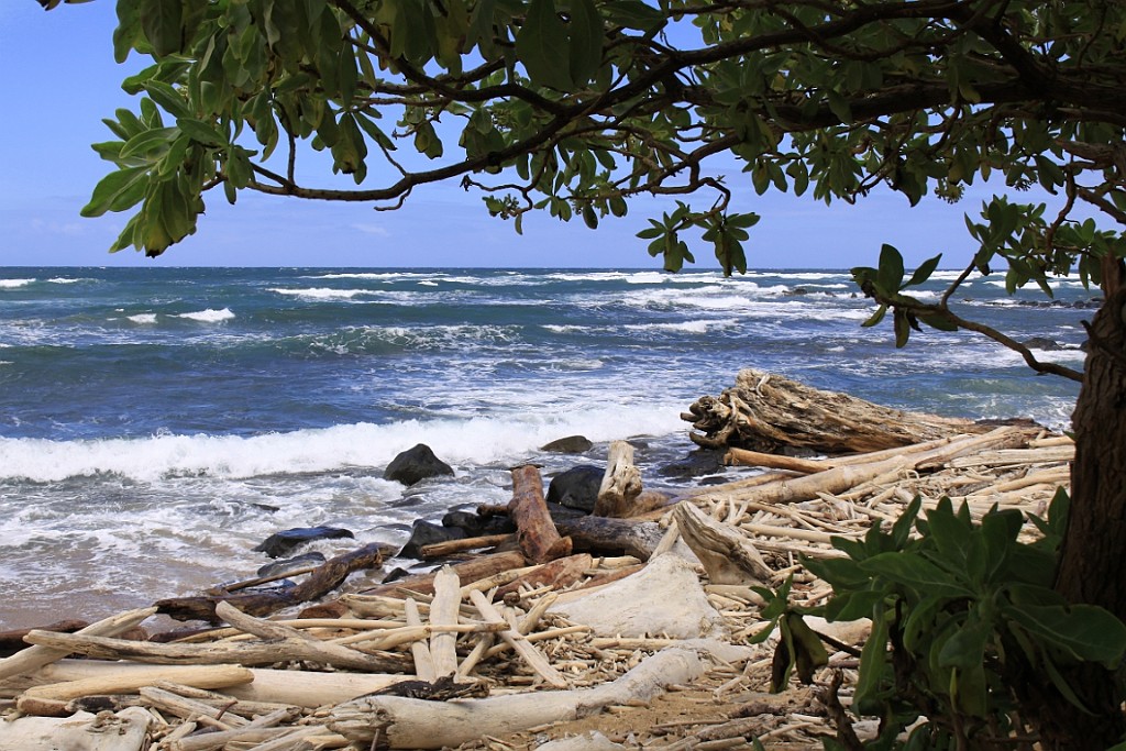 Hawaii0291.jpg