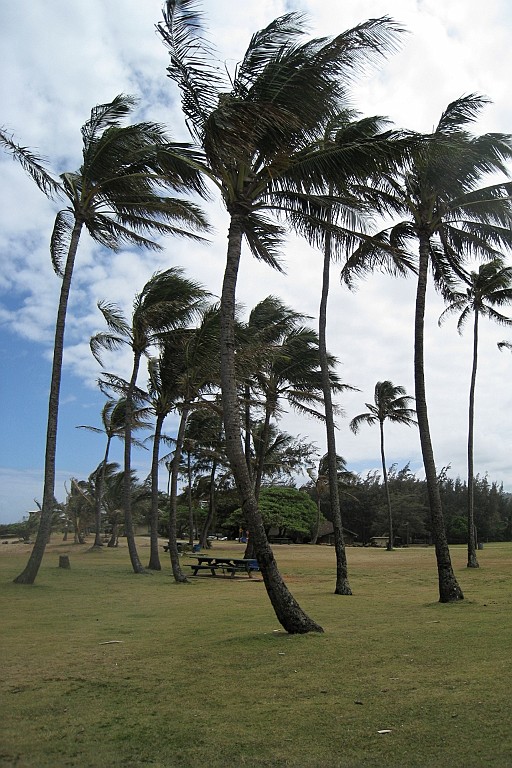 Hawaii0294.jpg