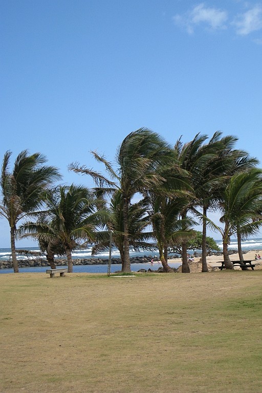 Hawaii0295.jpg
