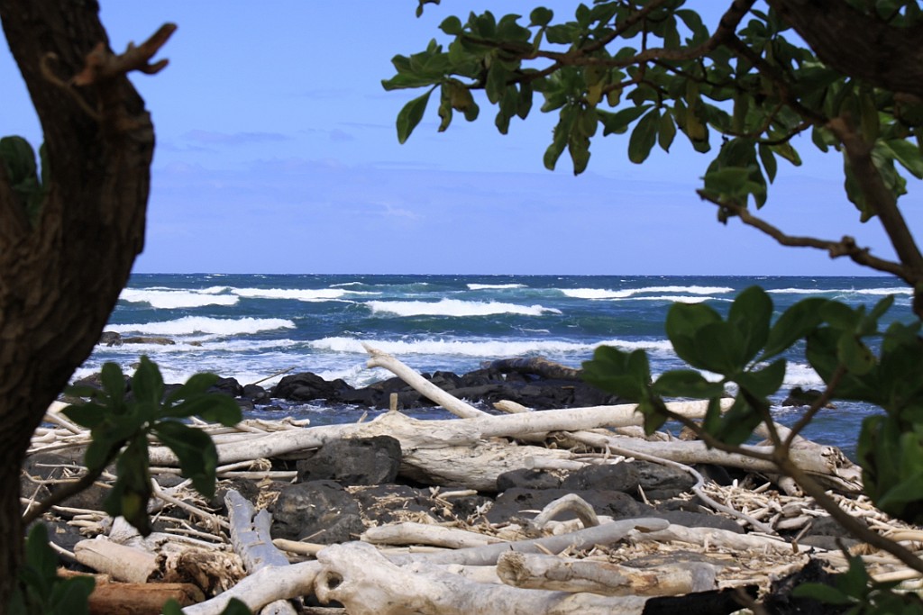 Hawaii0300.jpg