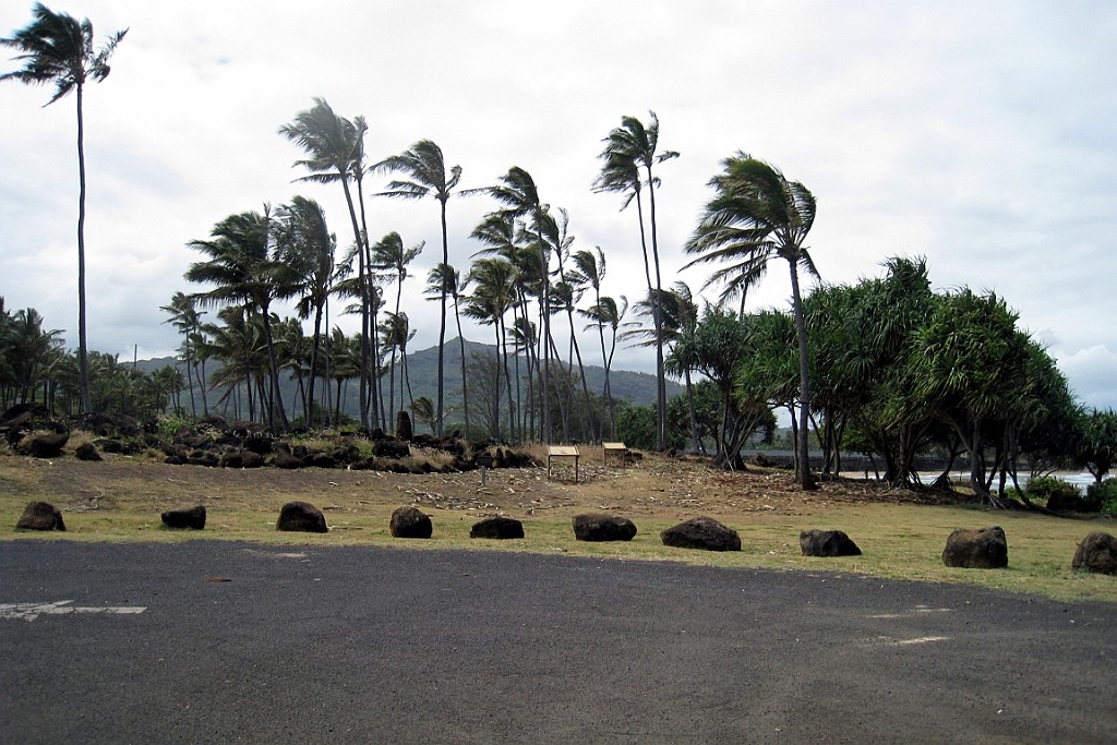Hawaii0302.jpg