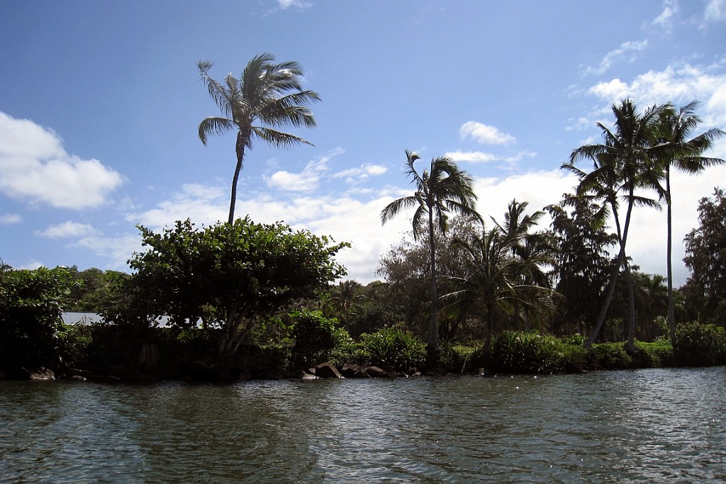 Hawaii0307.jpg