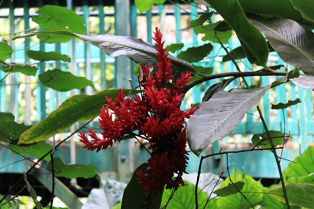 Hawaii0316.jpg